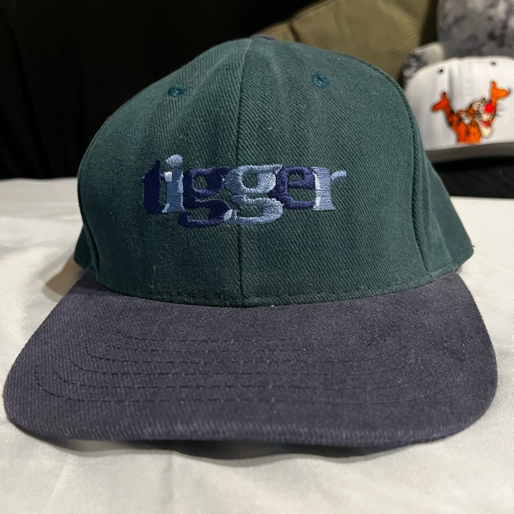 Vintage Disney Winnie the Pooh embroidered Tigger hat blue/green